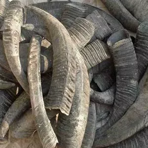 Water buffalo horns (Shui Niu Jiao)