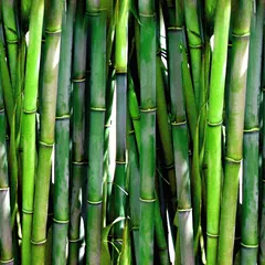 Bamboo shavings