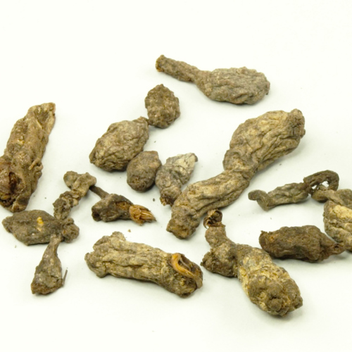 Tian Kui Zi (Semiaquilegia root tubers) as TCM ingredient