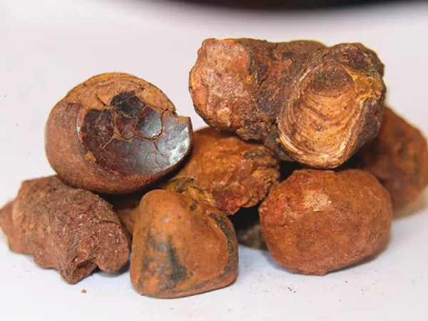 Ox gallstones (Niu Huang) in Chinese Medicine