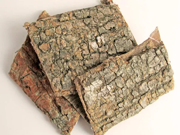 What Eucommia bark looks like as a TCM ingredient