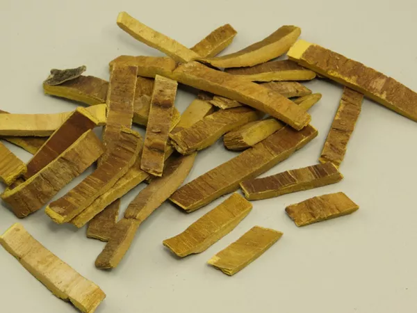 What Phellodendron bark looks like as a TCM ingredient