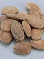 Snake gourd seeds (Gua Lou Ren)