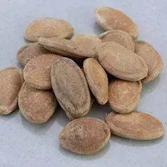 Snake gourd seeds