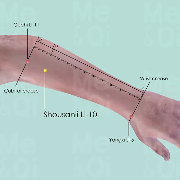 Shousanli LI-10 - Skin view - Acupuncture point on Large Intestine Channel