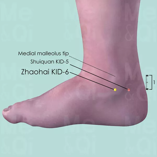 Zhaohai KID-6 - Skin view - Acupuncture point on Kidney Channel