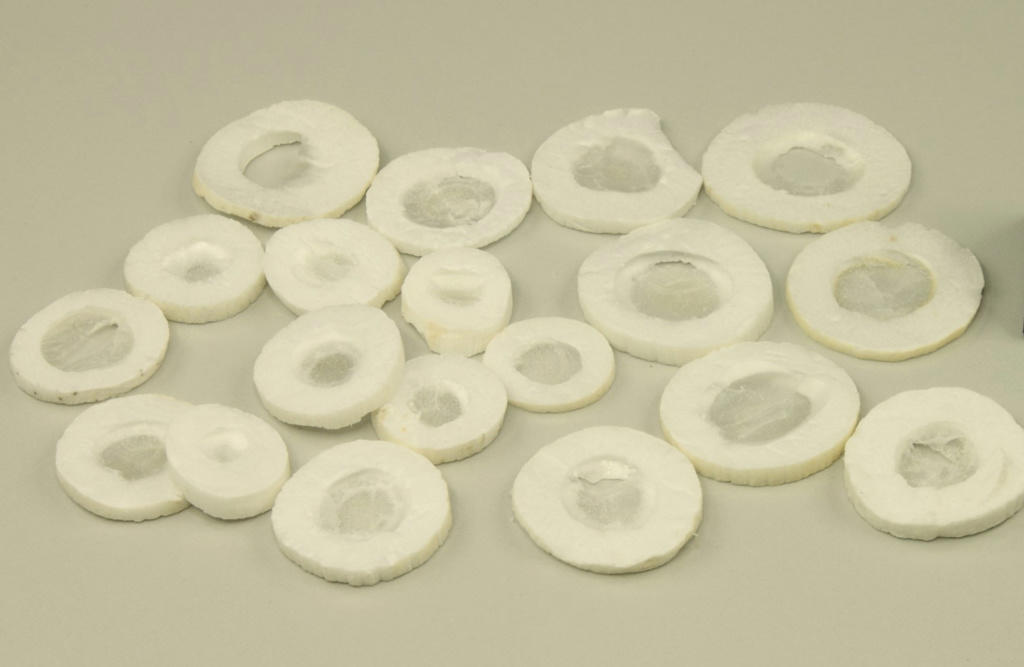 Tong Cao (Tetrapanax piths) as TCM ingredient