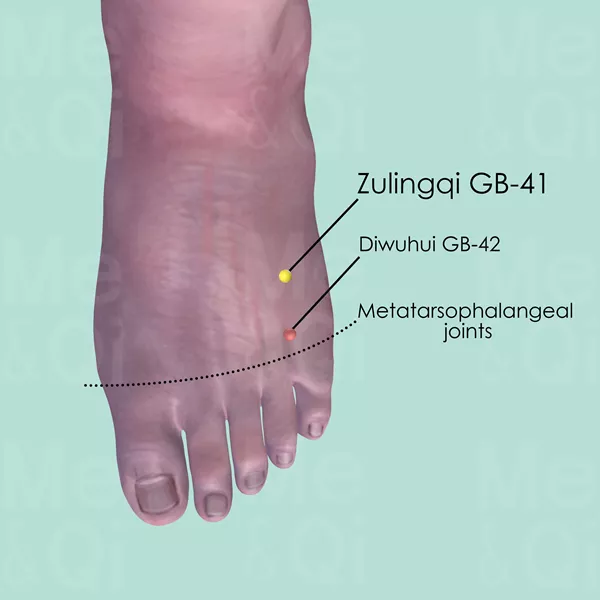 Zulingqi GB-41 - Skin view - Acupuncture point on Gall Bladder Channel