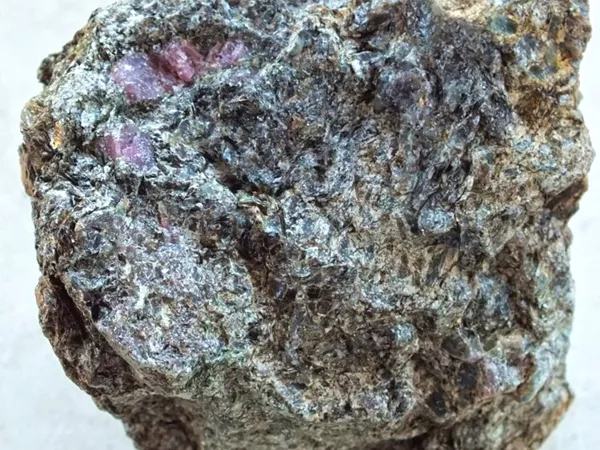 What the Chlorite Schist plant looks like