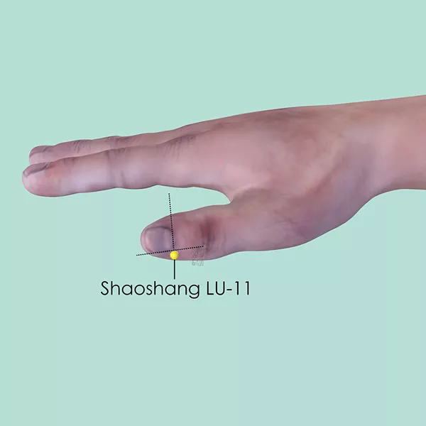 Shaoshang LU-11 - Skin view - Acupuncture point on Lung Channel