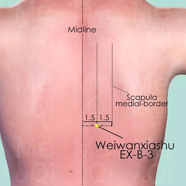 Weiwanxiashu EX-B-3 - Skin view - Acupuncture point on Extra Points: Back (EX-B)