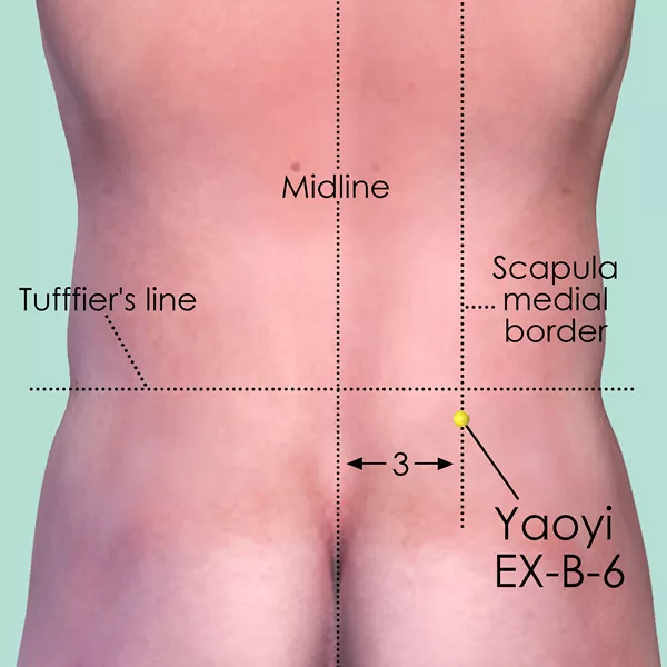 Yaoyi EX-B-6 - Skin view - Acupuncture point on Extra Points: Back (EX-B)