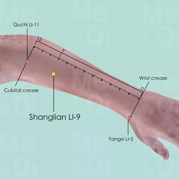 Shanglian LI-9 - Skin view - Acupuncture point on Large Intestine Channel