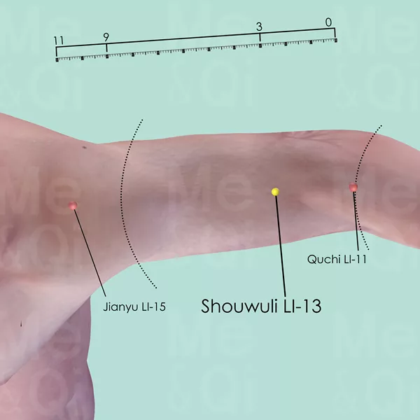 Shouwuli LI-13 - Skin view - Acupuncture point on Large Intestine Channel