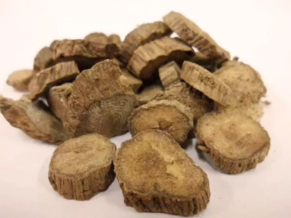 What Cyathula root looks like as a TCM ingredient