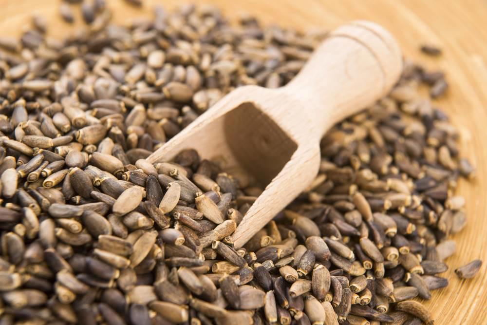 Shui Fei Ji (Milk thistle seeds) as TCM ingredient