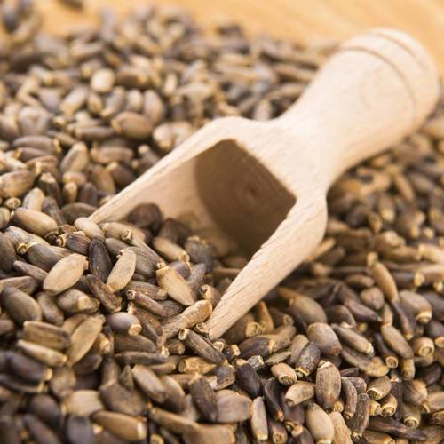 Shui Fei Ji (Milk thistle seeds) as TCM ingredient