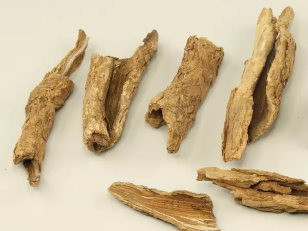 What Goji tree root bark looks like as a TCM ingredient