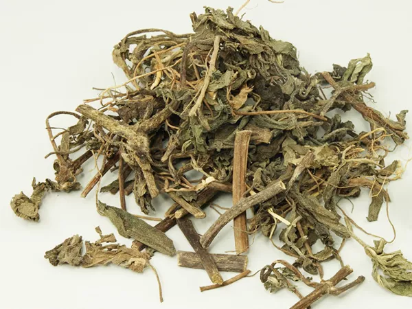 What Eclipta herb looks like as a TCM ingredient