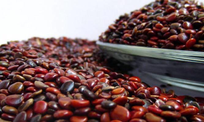 Zhi Ju Zi (Japanese raisin tree seeds) as TCM ingredient