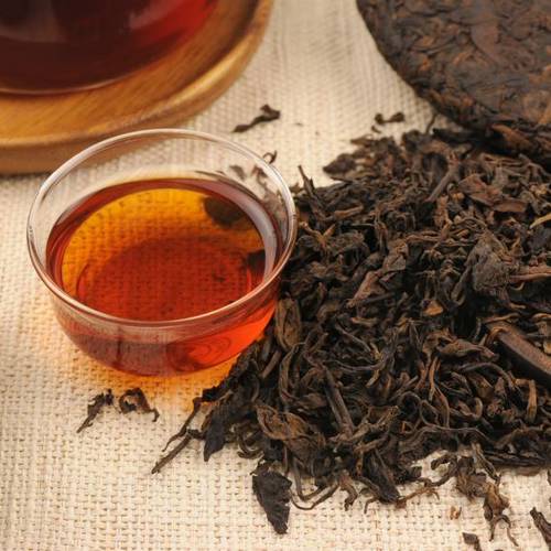 Pu er Cha (Pu'er tea) plant