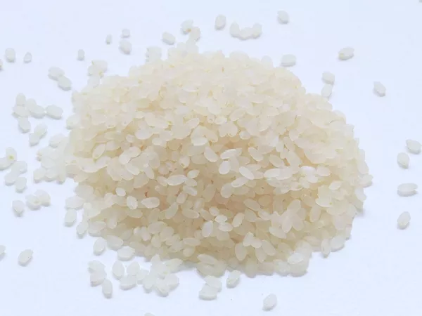 What Nonglutinous japonica rice looks like as a TCM ingredient