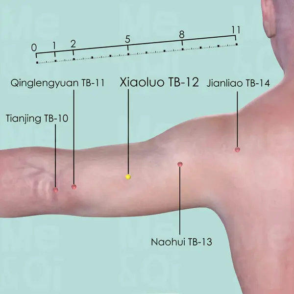 Xiaoluo SJ-12 location