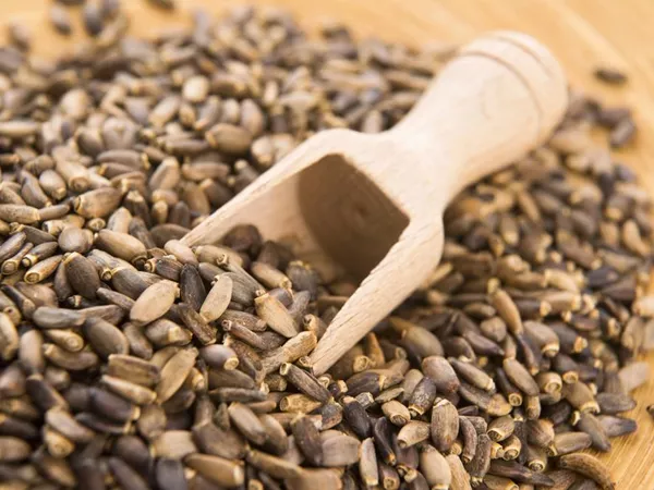 What Milk thistle seed looks like as a TCM ingredient