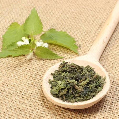 Xun Ma (Stinging nettle leaves) as TCM ingredient