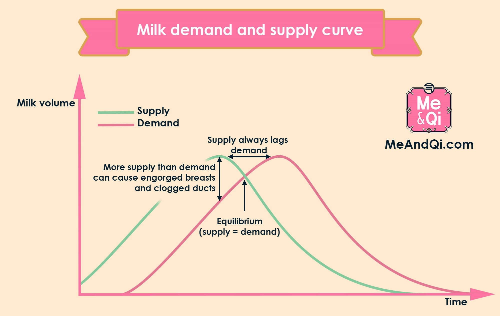 Breastfeeding supply and demand curve