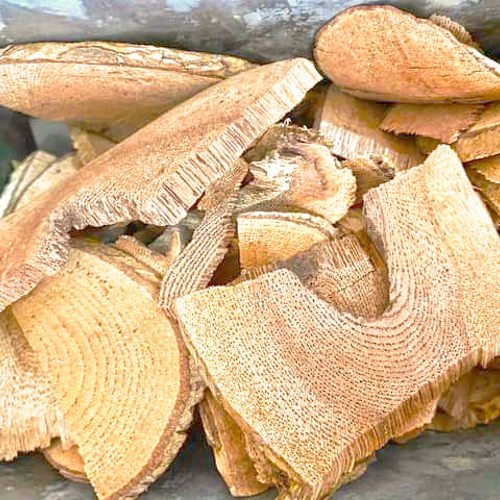 Lei Gong Teng (Thunder god vines) as TCM ingredient