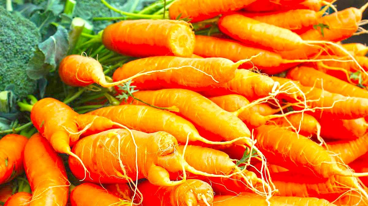 Carrots and yellow breastmilk