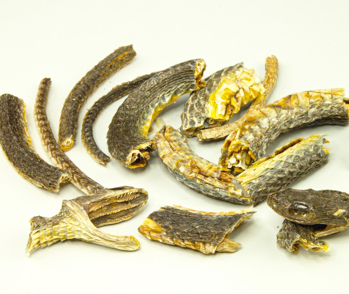 Wu shao she (Black-tail snakes) as TCM ingredient