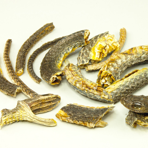 Wu shao she (Black-tail snakes) as TCM ingredient
