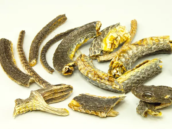 What Black-tail snake looks like as a TCM ingredient