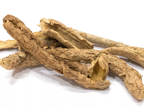 What Acanthopanax rootbark looks like as a TCM ingredient