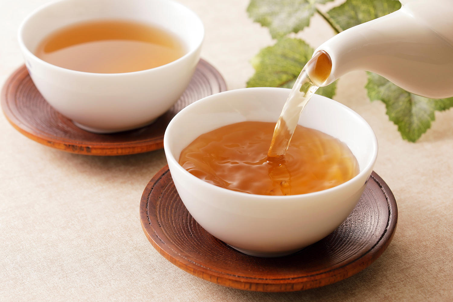 Du Zhong Ye (Eucommia leaves) as TCM ingredient