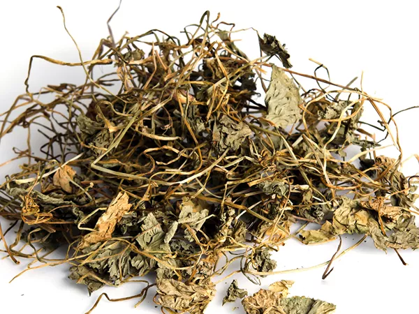 What Gotu Kola herb looks like as a TCM ingredient