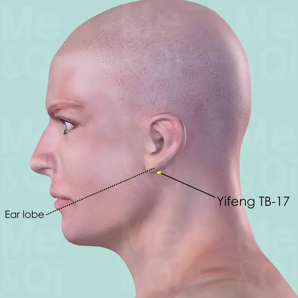 Yifeng SJ-17 location