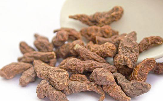 Ren Shen Guo (Pepino melons) as TCM ingredient