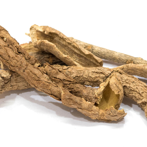 Wu Jia Pi (Acanthopanax rootbarks) as TCM ingredient