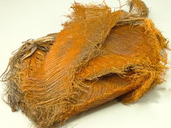 What Windmill palm bark looks like as a TCM ingredient