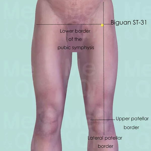 Biguan ST-31 - Skin view - Acupuncture point on Stomach Channel