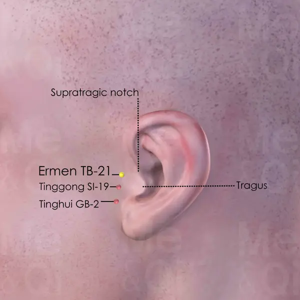 Ermen SJ-21 location