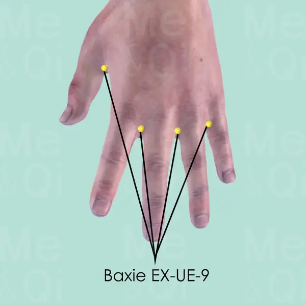 Baxie EX-UE-9 location