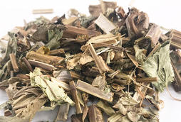 Ze Lan (Lycopi rhizomes) as TCM ingredient