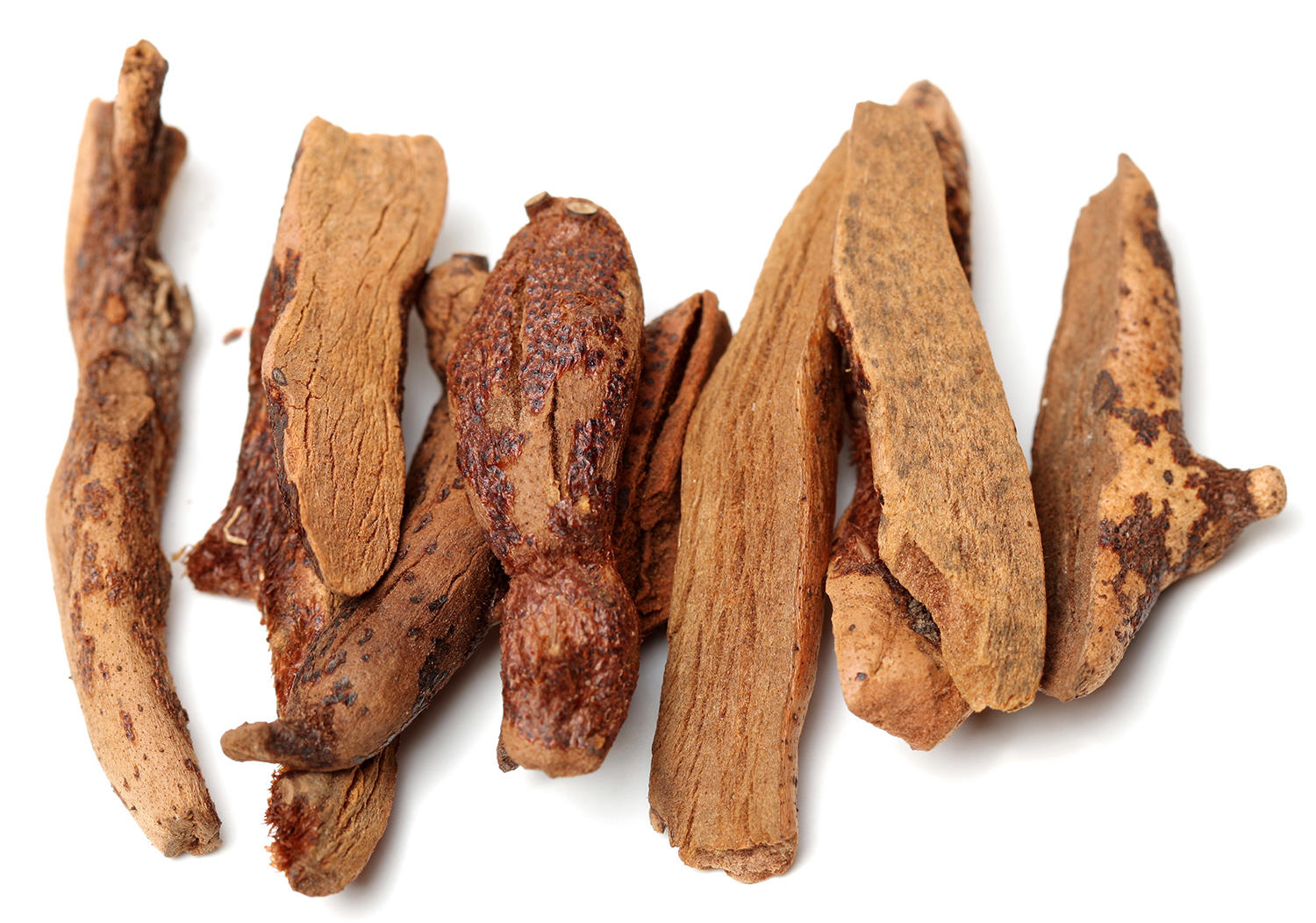 Gu Sui Bu (Drynaria rhizomes) as TCM ingredient