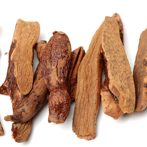 Gu Sui Bu (Drynaria rhizomes) as TCM ingredient