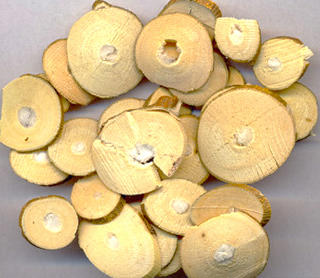 Sang Zhi (Mulberry twigs) as TCM ingredient