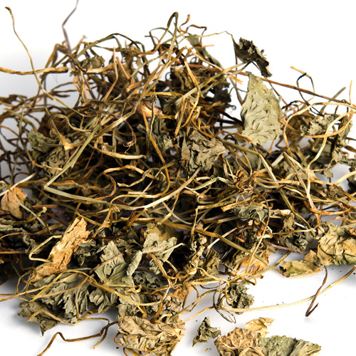 Ji Xue Cao (Gotu Kola herbs) as TCM ingredient